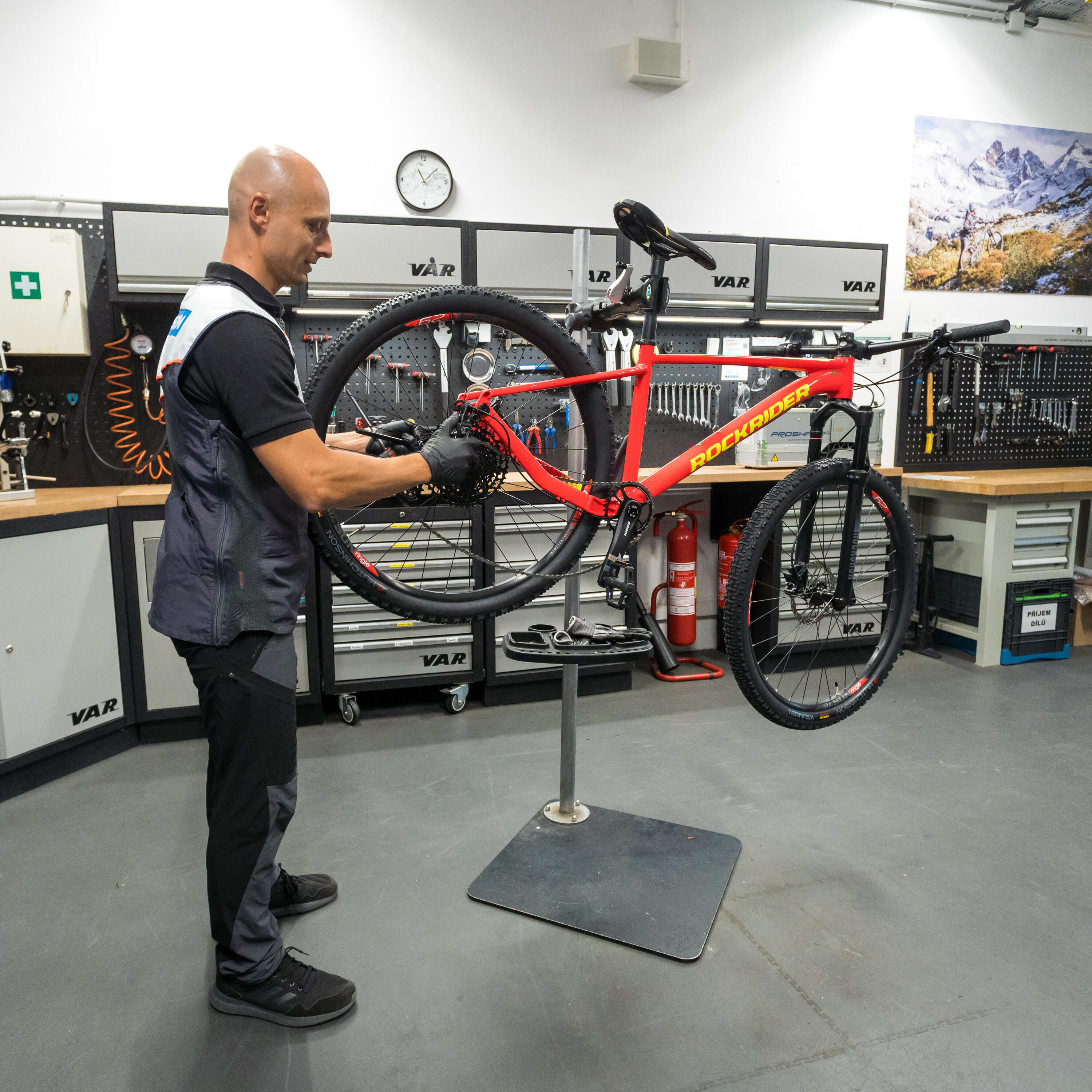 Riparazione e manutenzione Telaio