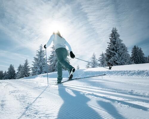 The best cross-country ski trails in and around Ottawa