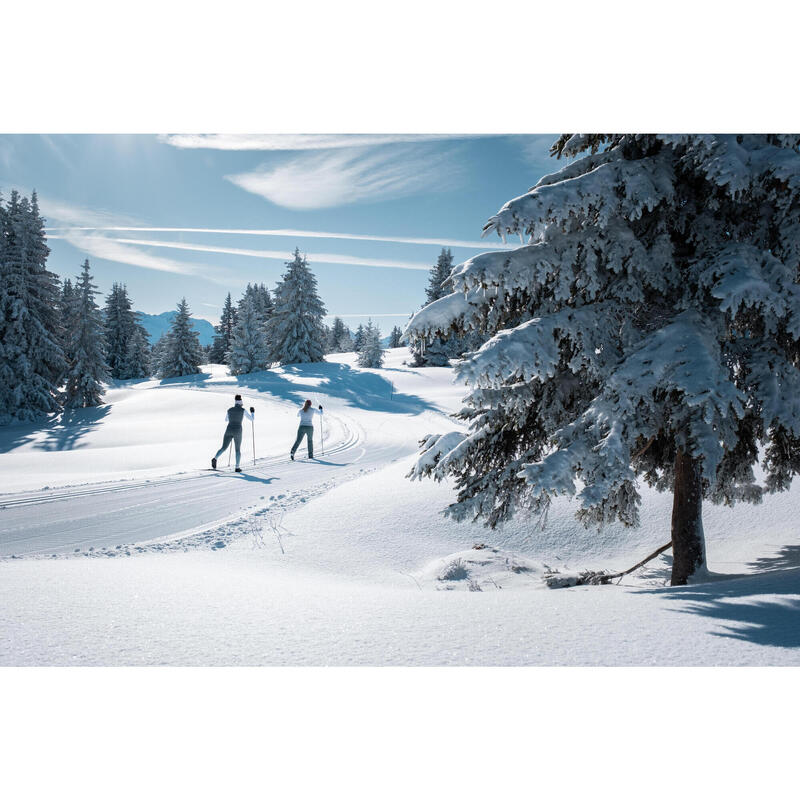 SCHIURI FOND CLASIC - PIEI 150 + Legături