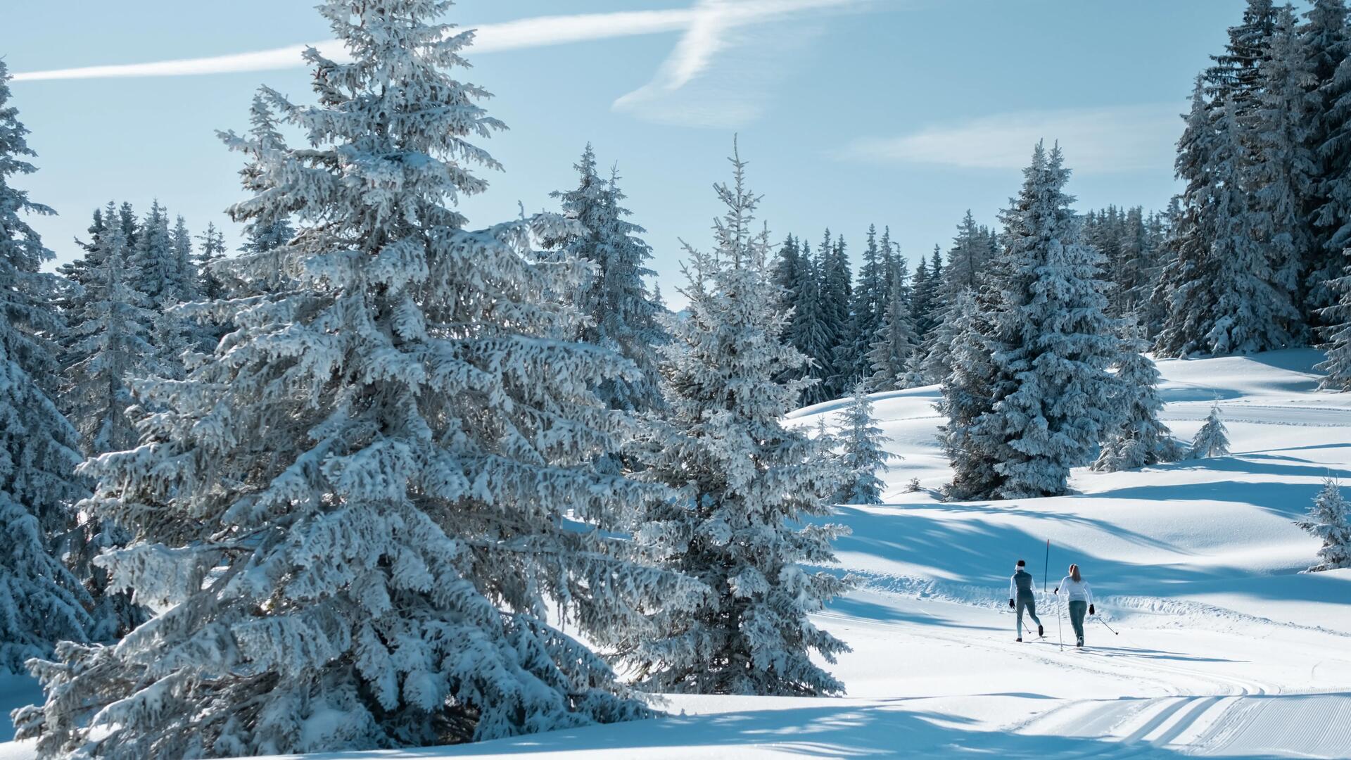 Ski de Fond : tout savoir pour bien débuter