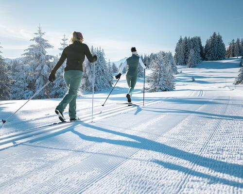 DÉCOUVRIR LE SKI DE FOND LEXIQUE DU SKI DE FOND