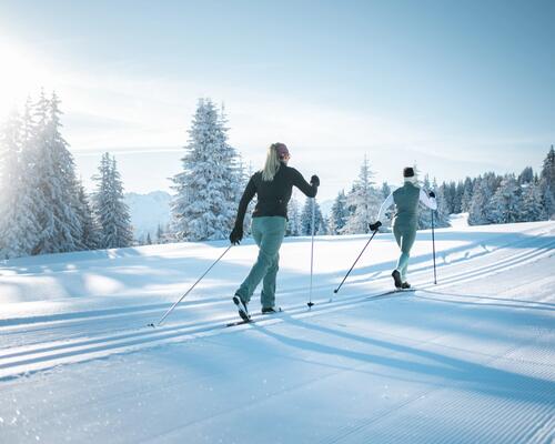 Ski de Fond : tout savoir pour bien débuter