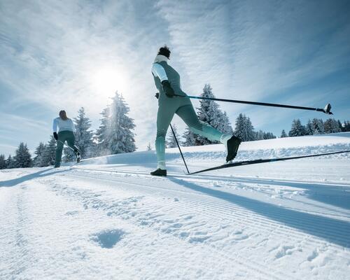 Ski de fond en famille : astuces pour des sorties réussies avec vos en