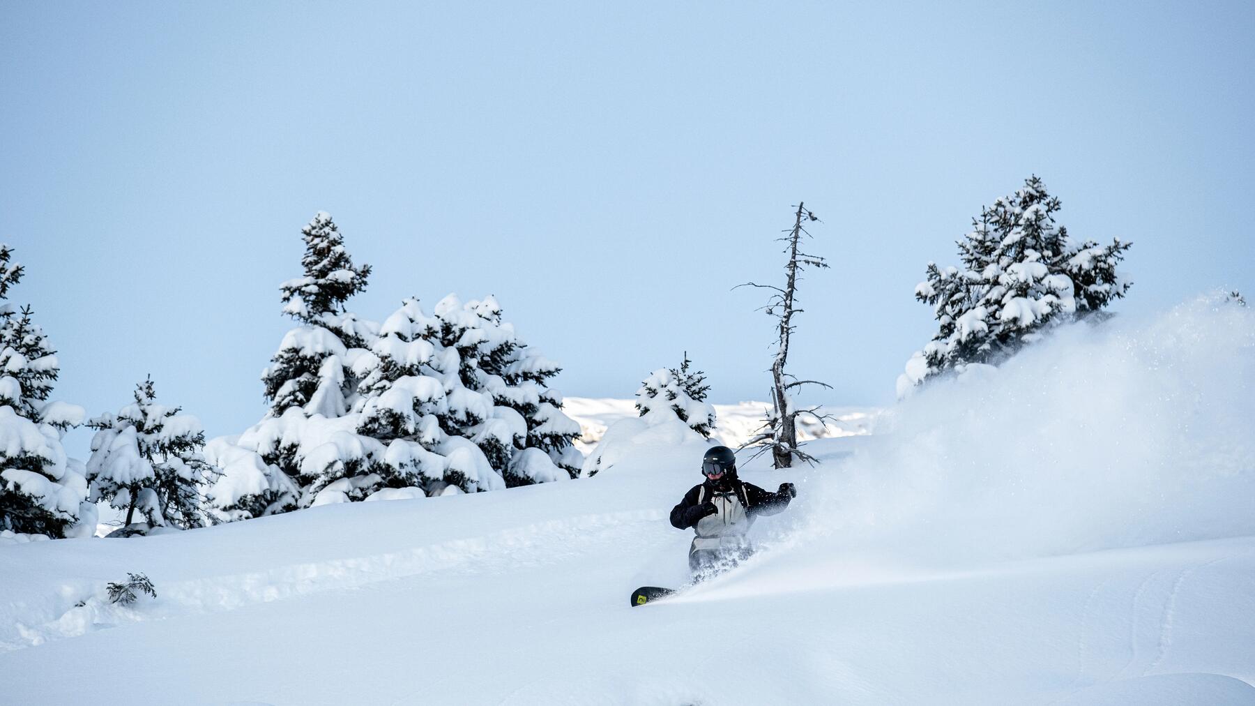 Lerne mit unserer Hilfe die Vorteile des Snowboardens kennen!