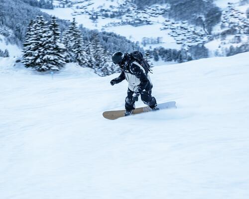 snowboard goofy ou regular - titre