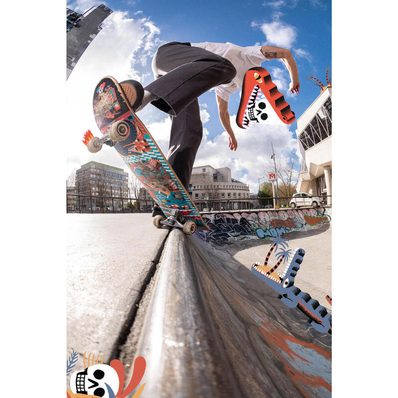 Tavola skate DK 500 POPSICLE acero 8.25" Grafica di Loic Lusnia
