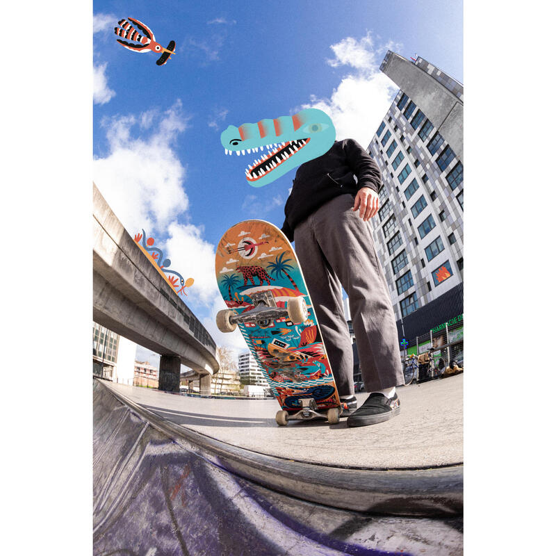 PLANCHE DE SKATE ERABLE DK500 POPSICLE TAILLE 8,25". GRAPHISME PAR LOIC LUSNIA