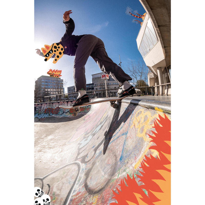 PLANCHE DE SKATE ERABLE DK500 POPSICLE TAILLE 8,25". GRAPHISME PAR LOIC LUSNIA