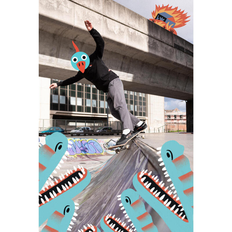 PLANCHE DE SKATE ERABLE DK500 POPSICLE TAILLE 8,5". GRAPHISME PAR LOIC LUSNIA