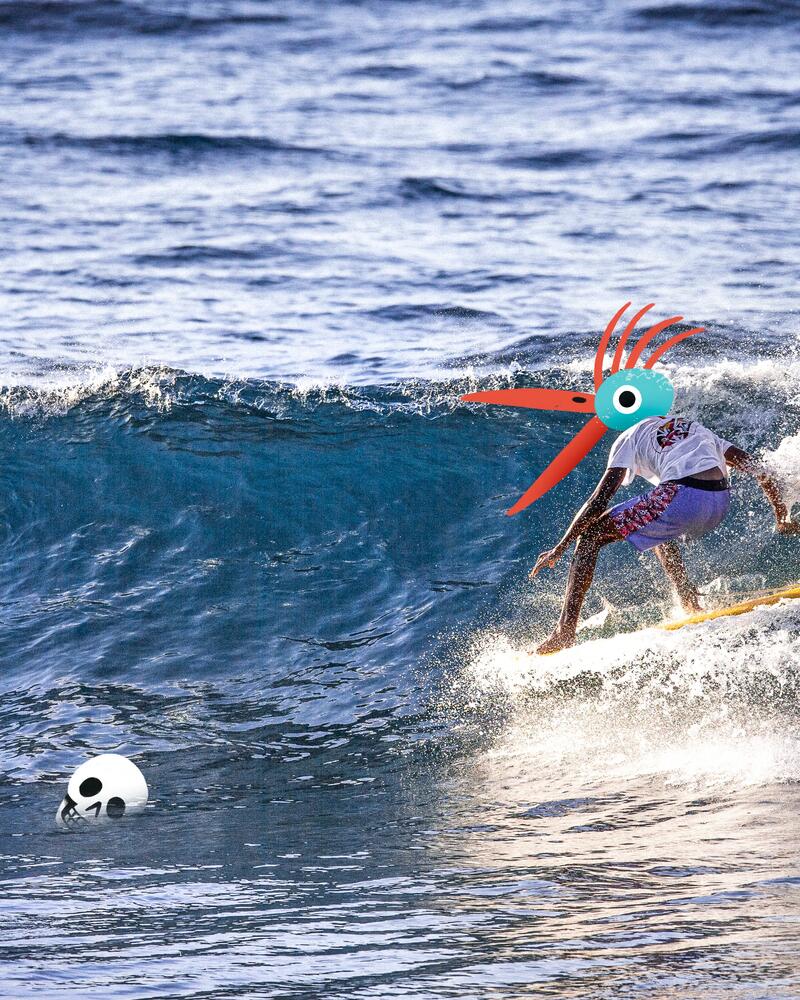 ¿Cómo elegir una tabla de surf?