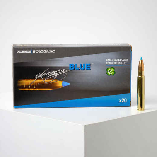 
      LEAD-FREE BULLET EXERGY 9.3X62 250 grains/16.2 grams
  