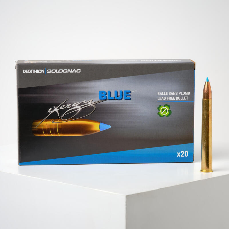 BALLE EXERGY 9,3X74R SANS PLOMB 250 grains/16,2 grammes