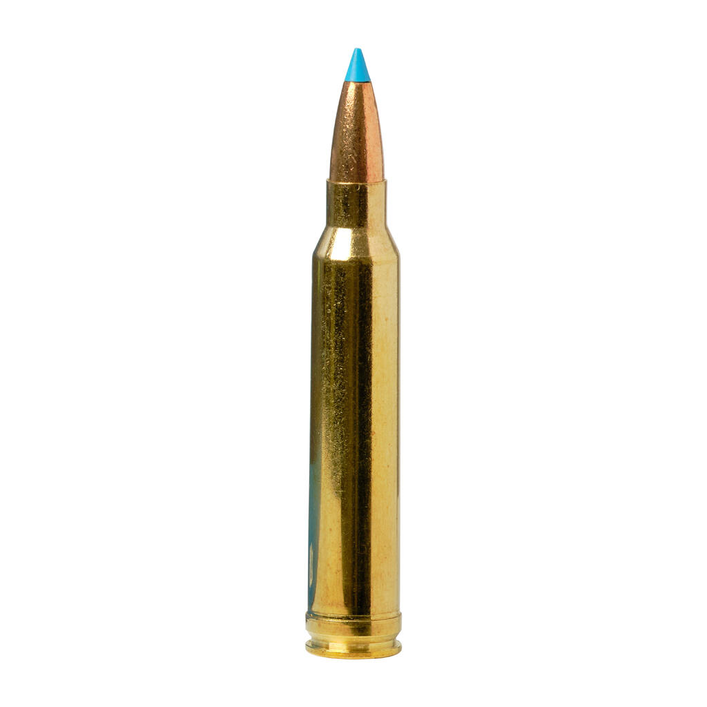 EXERGY BULLET 300WM LEAD-FREE 180 grains/11.7 grams