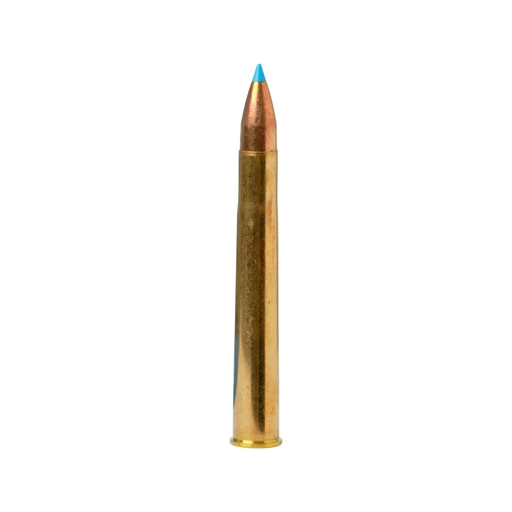 LEAD-FREE BULLET EXERGY 9.3X74R 250 grains/16.2 grams