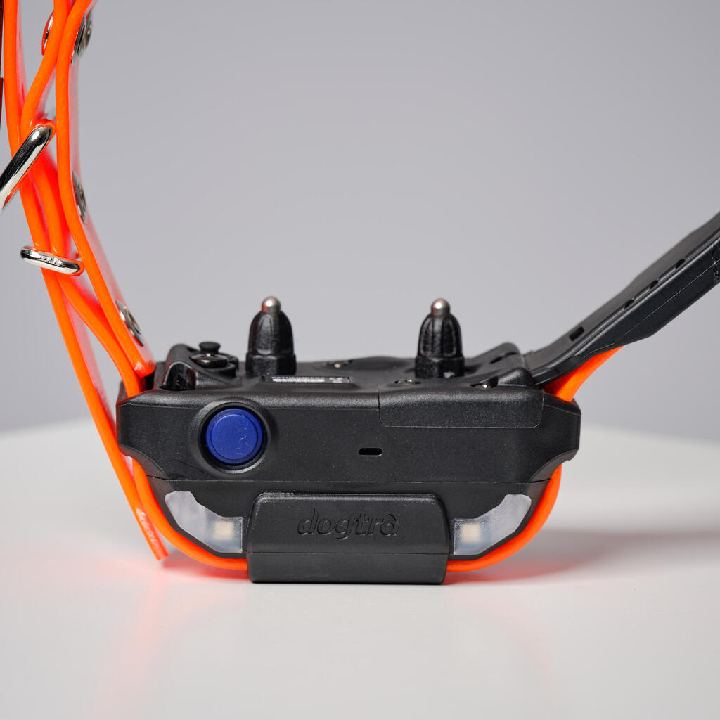 Pack collar + remote control for tracking and training dogs Dogtra Pathfinder V2