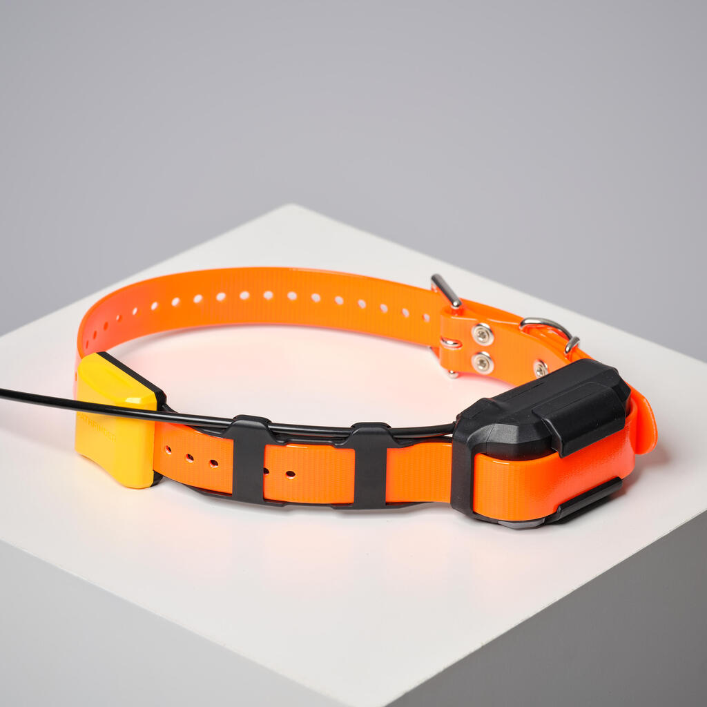 Pack collar + remote control for tracking and training dogs Dogtra Pathfinder V2