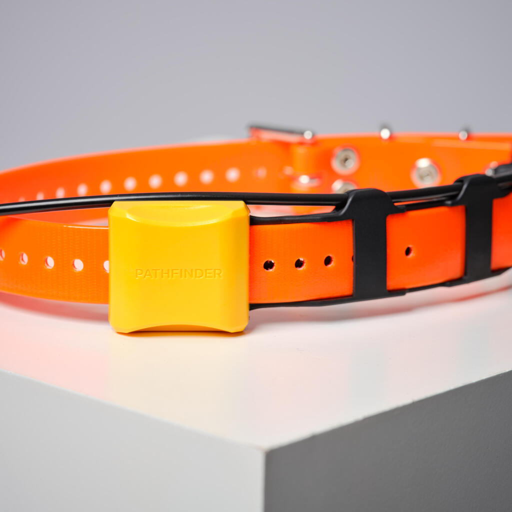 Pack collar + remote control for tracking and training dogs Dogtra Pathfinder V2