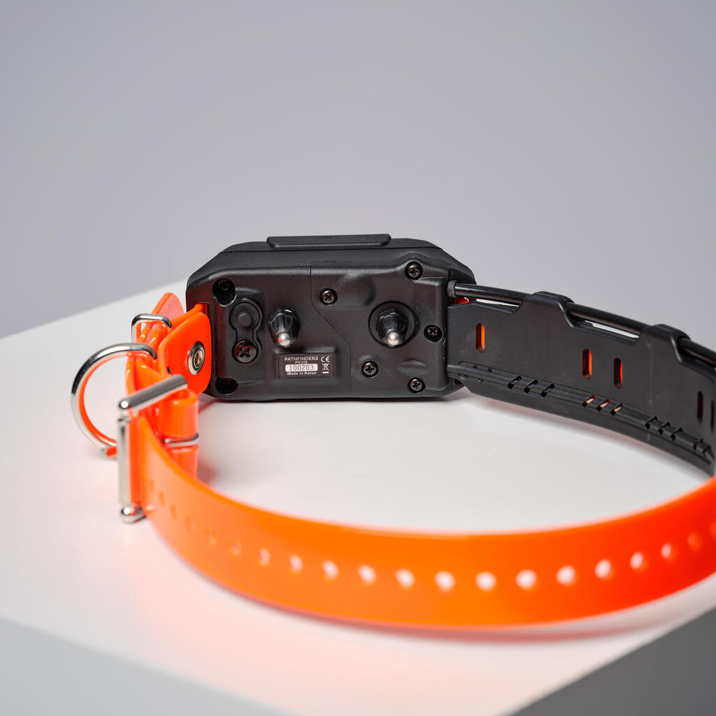 Pack collar + remote control for tracking and training dogs Dogtra Pathfinder V2