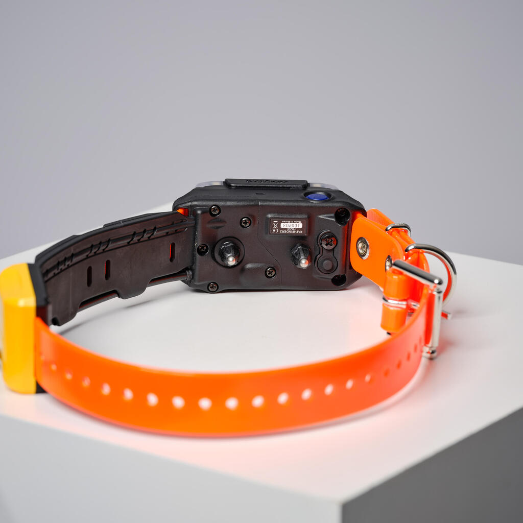 Pack collar + remote control for tracking and training dogs Dogtra Pathfinder V2