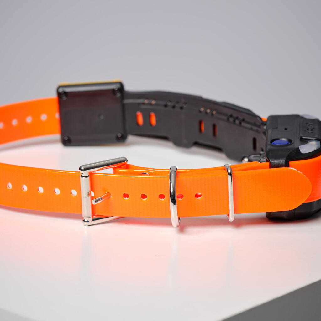 Pack collar + remote control for tracking and training dogs Dogtra Pathfinder V2