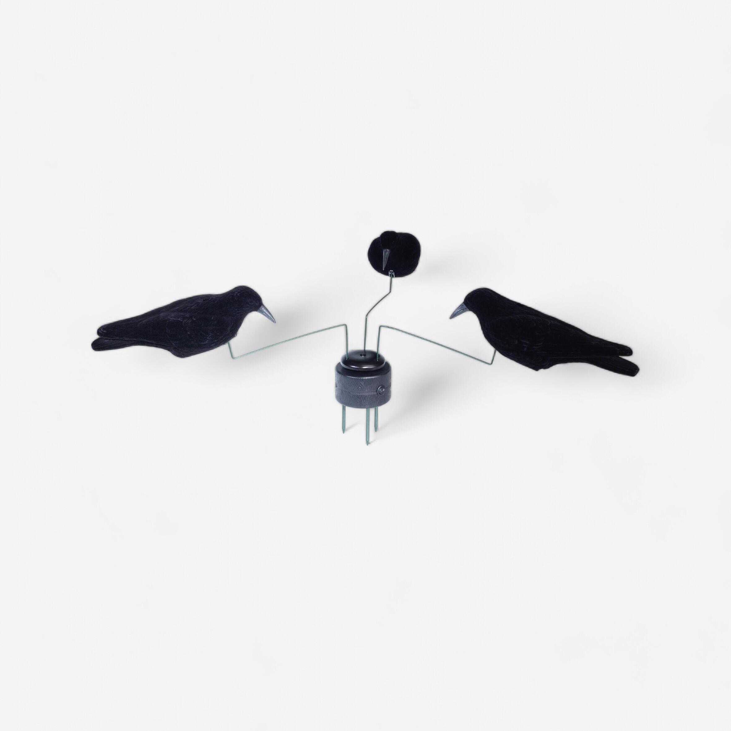 Decathlon | Giostra corvi |  Stepland