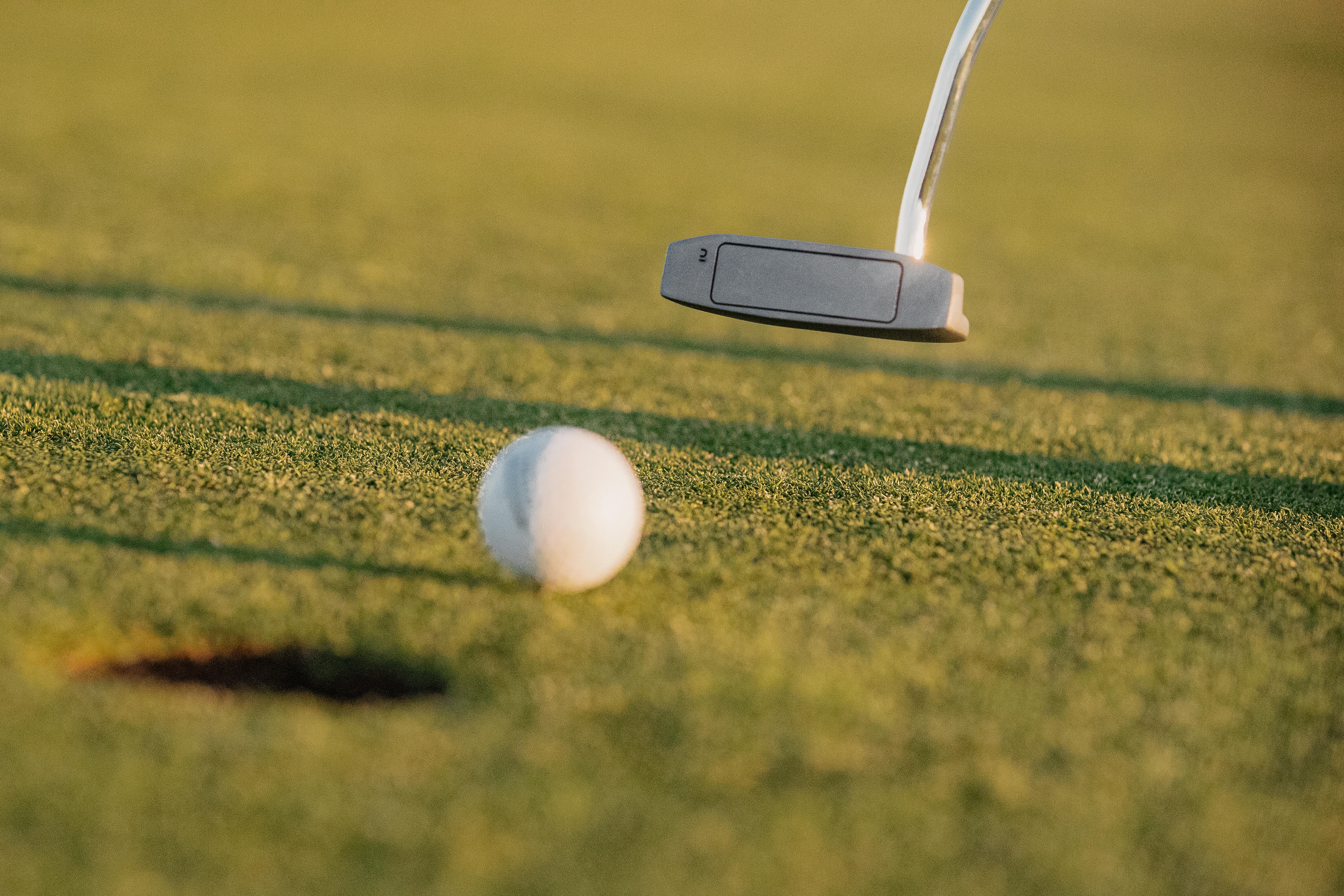 Adult mallet putter right handed - INESIS 100