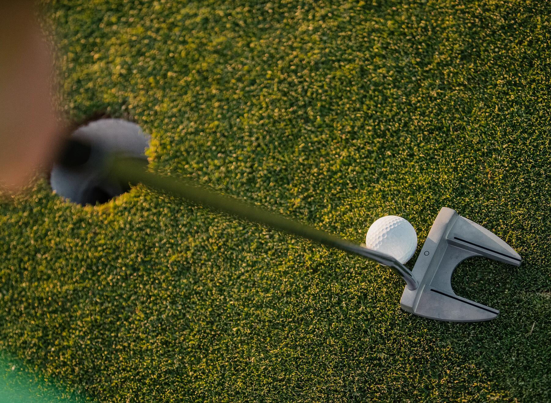 Palo de golf putter