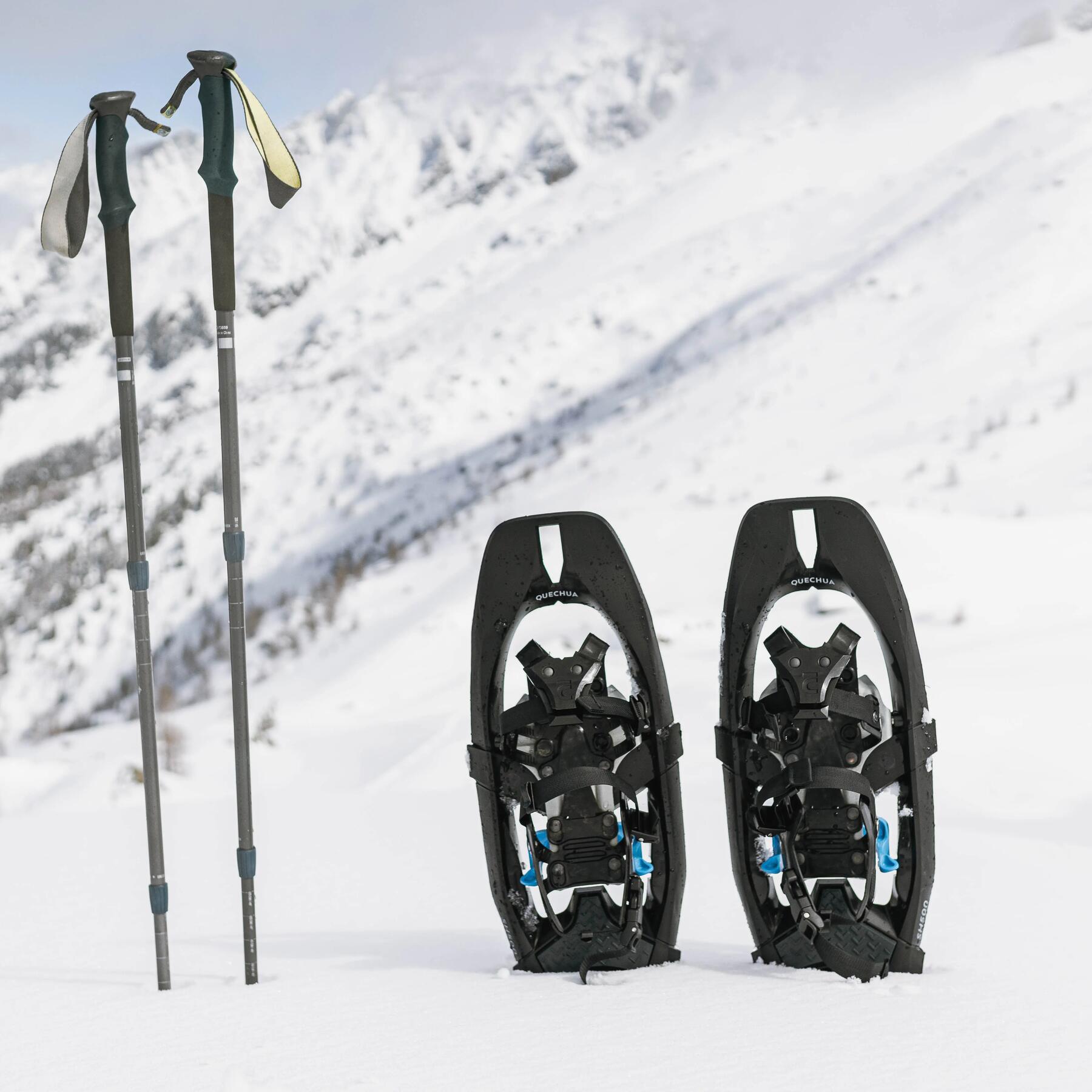 Bâtons pour randonnée en raquettes à neige