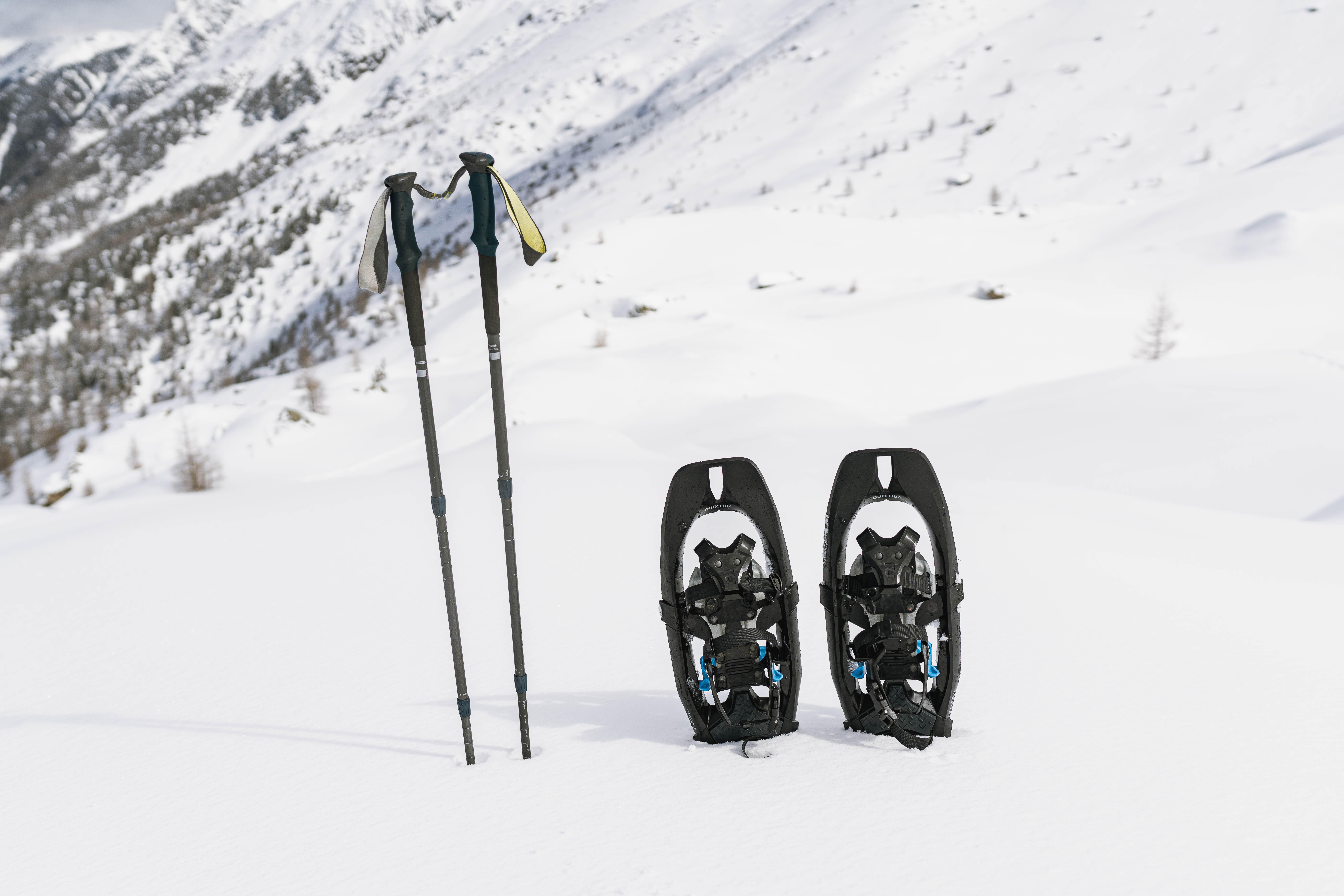 Snowshoes