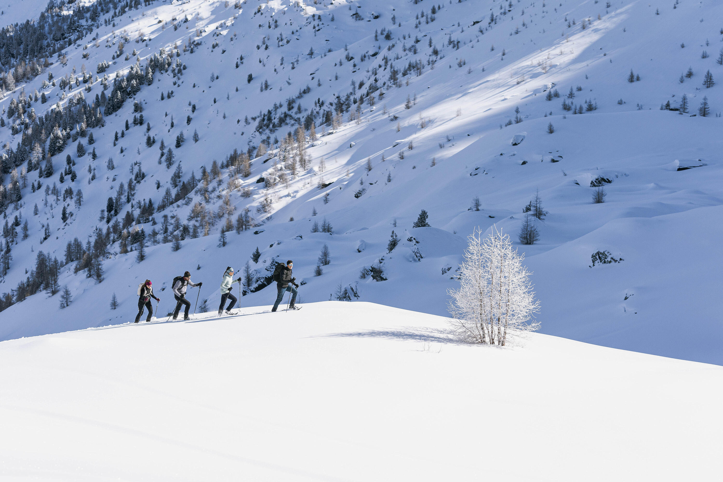 Raquettes à neige grands tamis - Quechua SH500 Mountain 11/20