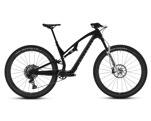 MTB - ROCKRIDER RACE 900 TE 