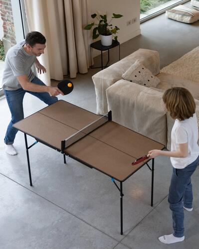 interier tabletennis