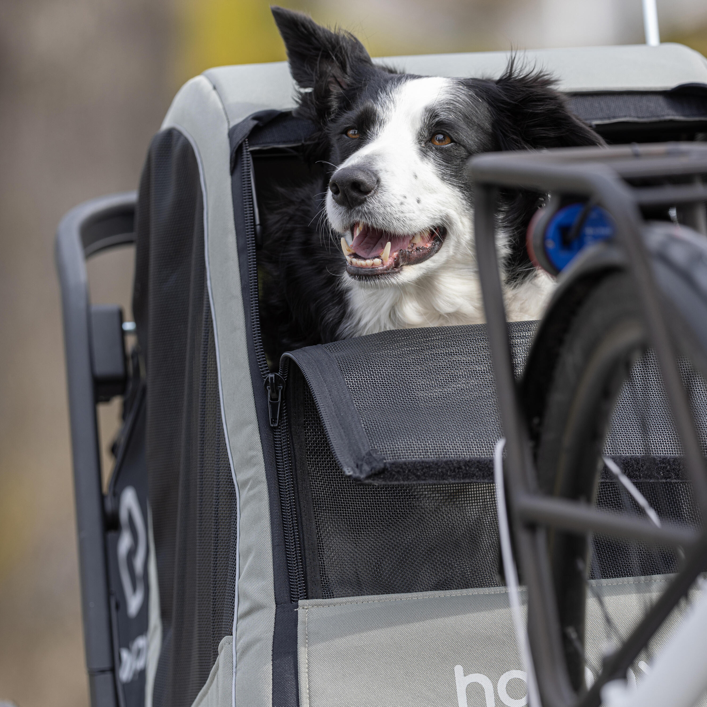 Fietskar voor hond Cooper 9/11