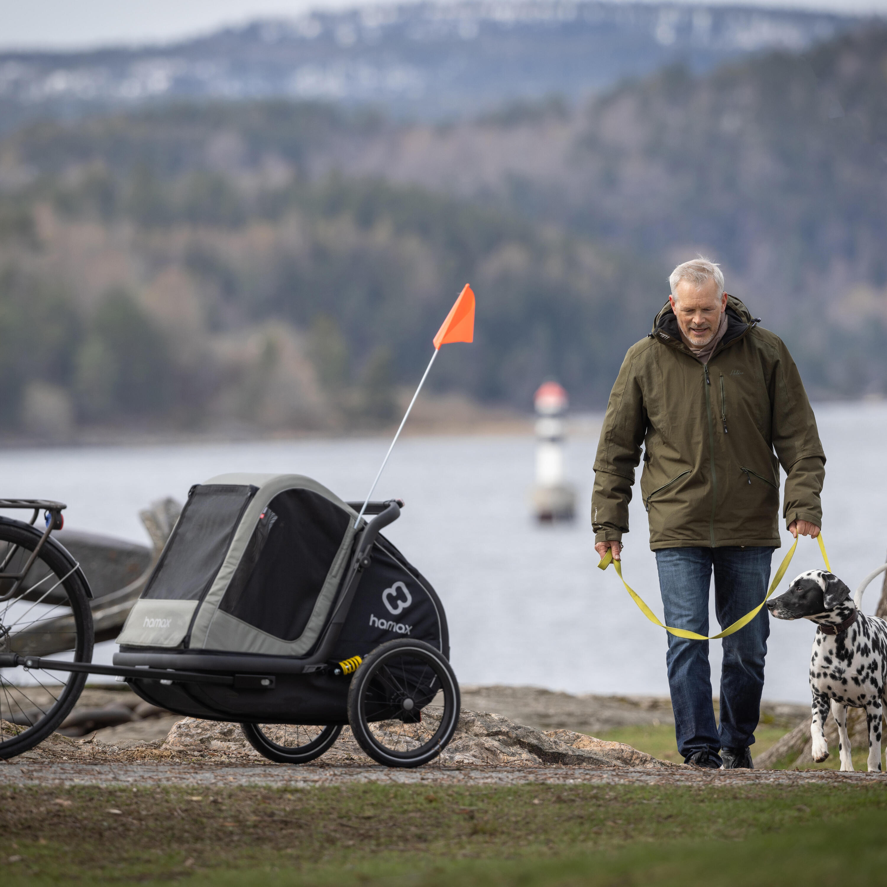 Fietskar voor hond Cooper 3/11