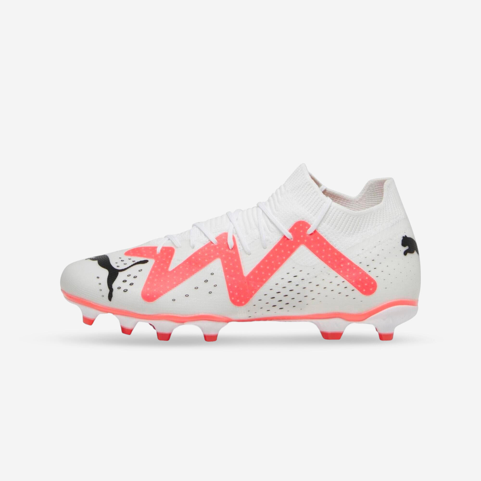 PUMA picture