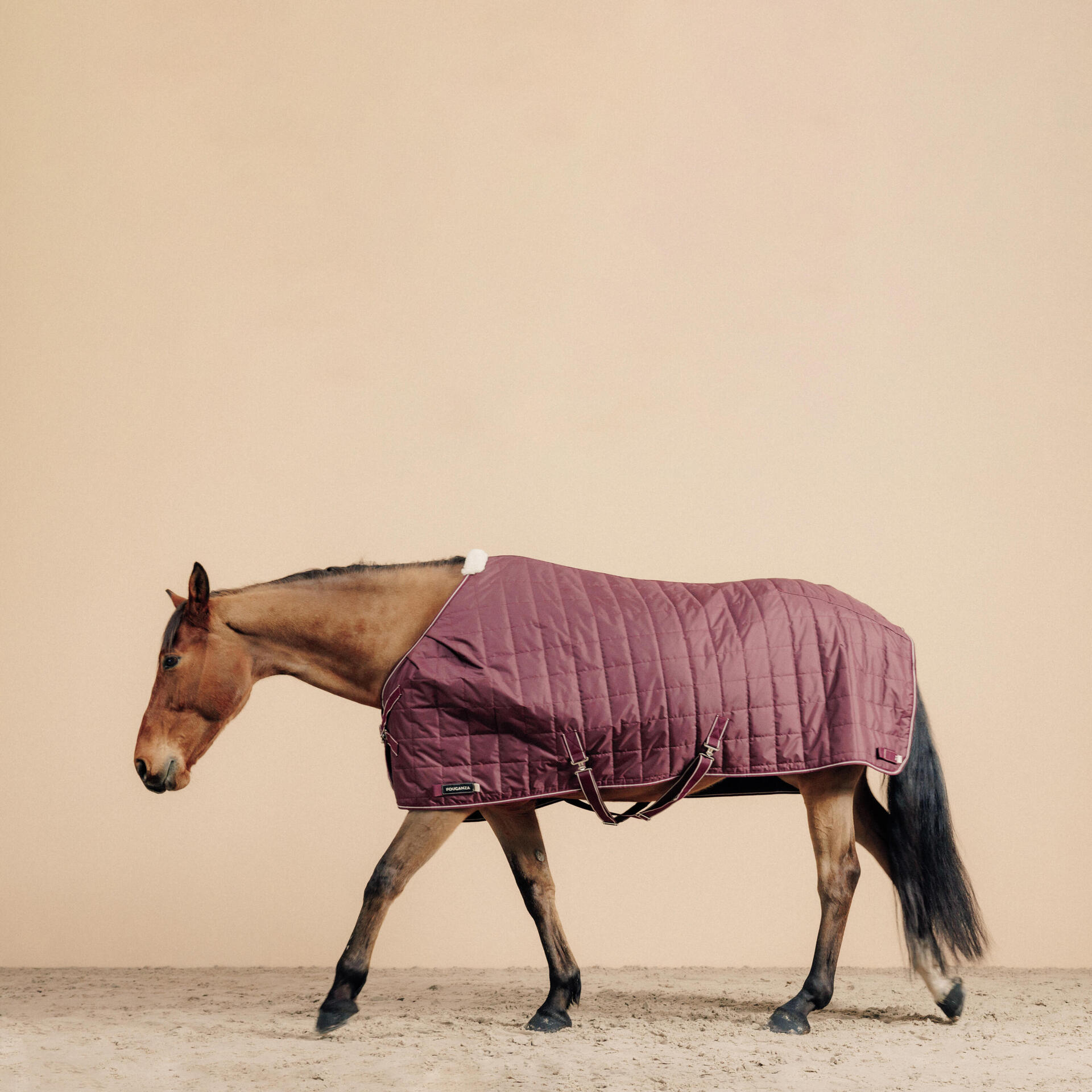 Couverture équitation écurie 50g Cheval et Poney - Combo 50 bordeaux