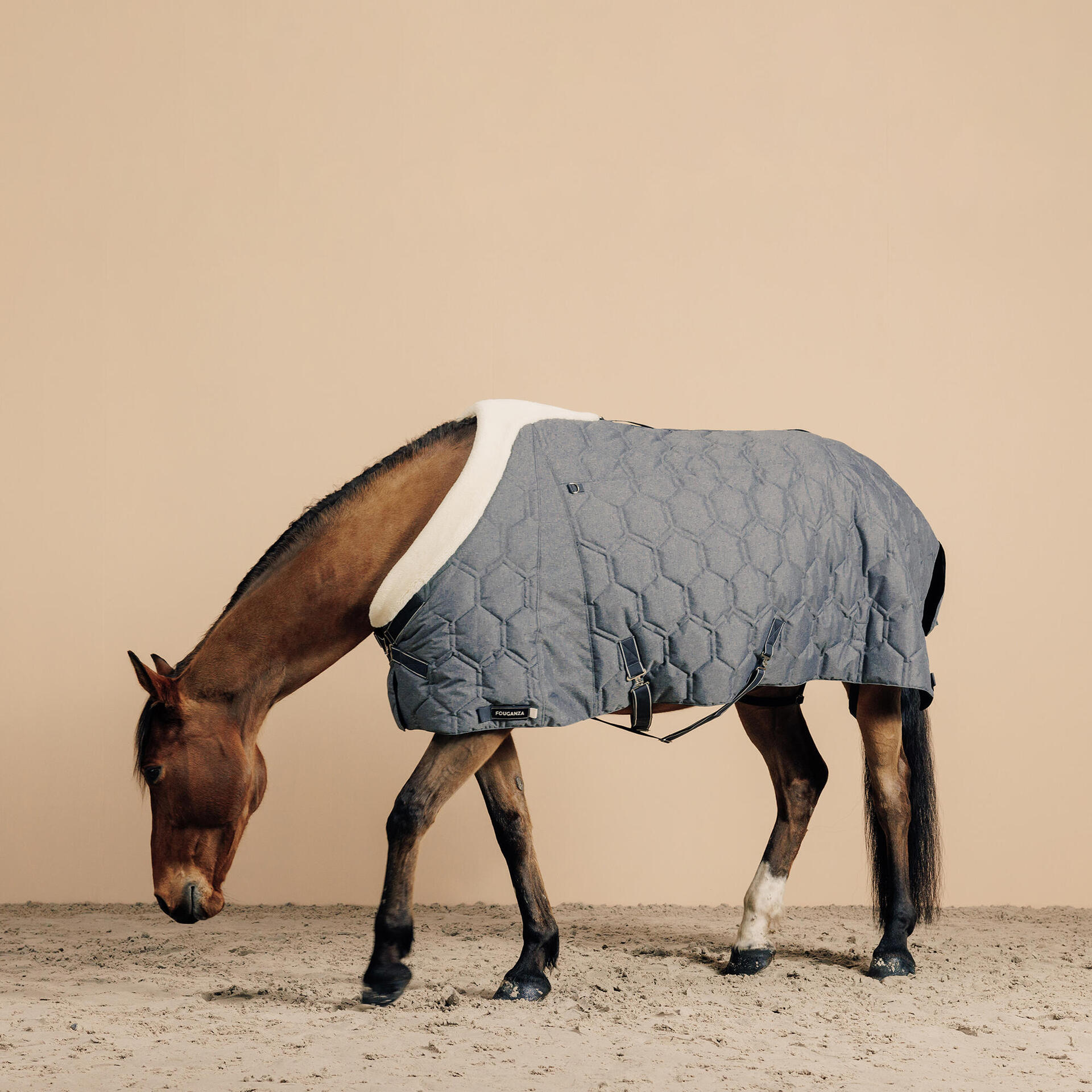 Couverture équitation écurie 50g Cheval et Poney - Combo 50 bordeaux