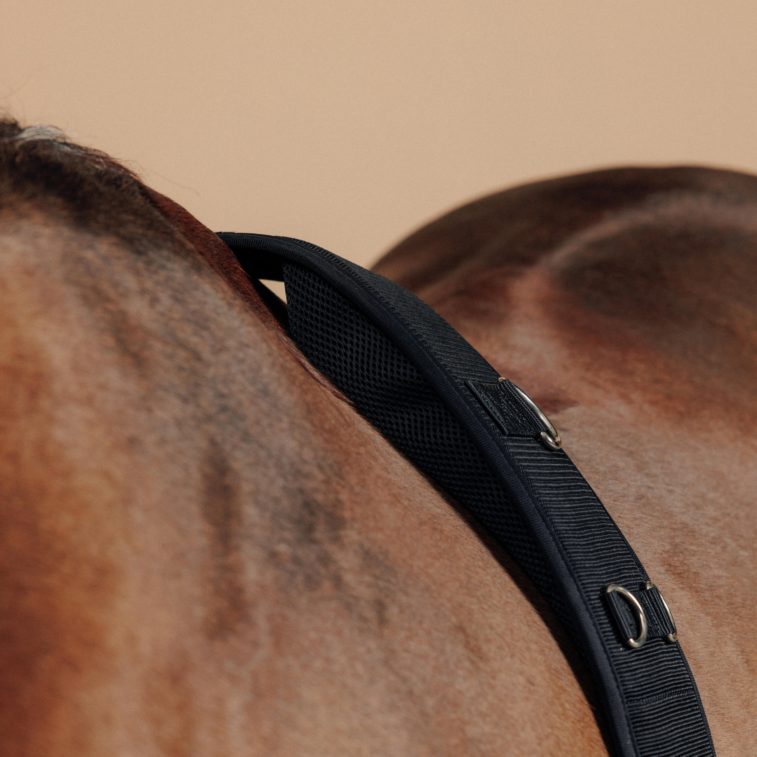 Horse & Pony Riding Lunging Roller - Black - FOUGANZA
