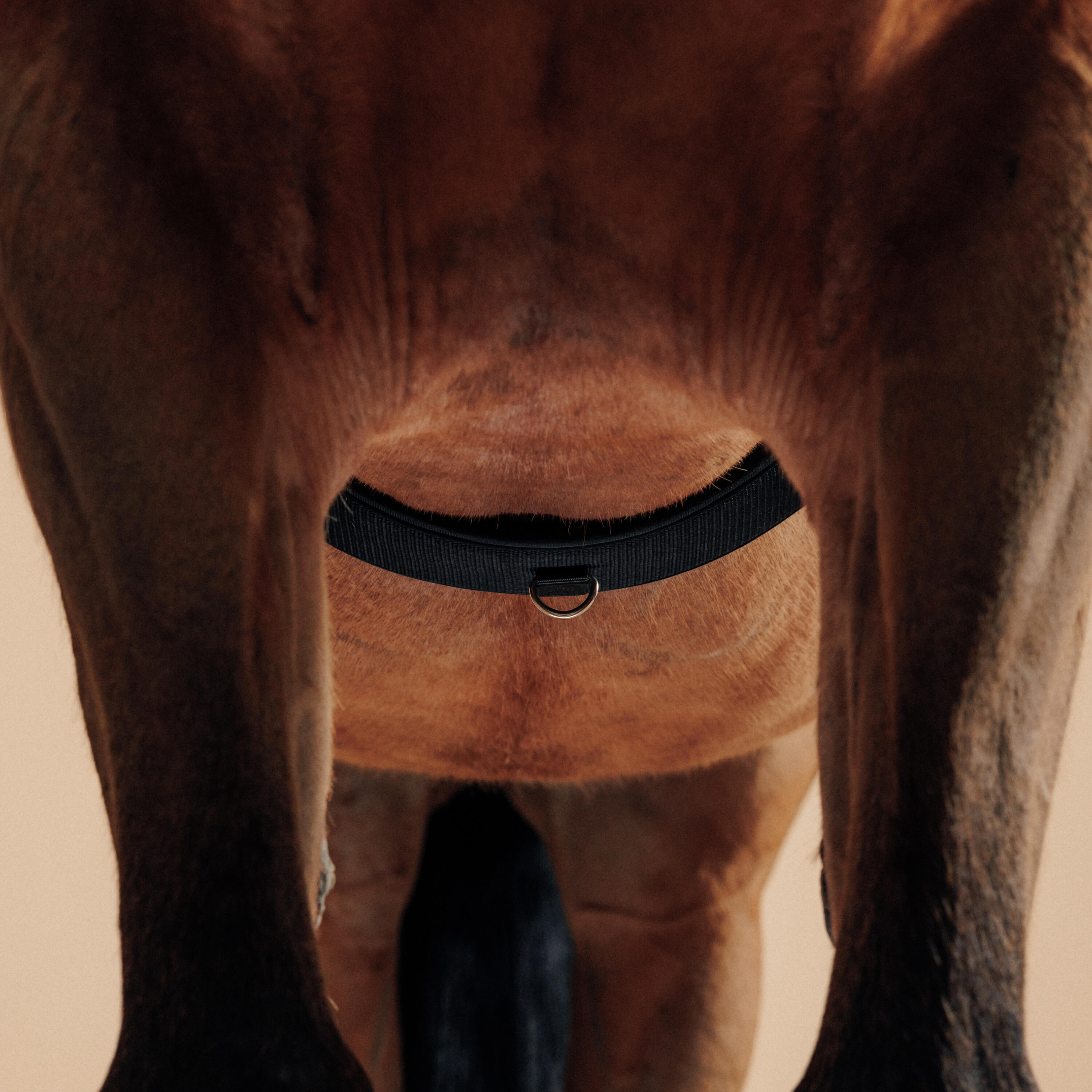 Surfaix de travail équitation pour cheval et poney - noir - FOUGANZA