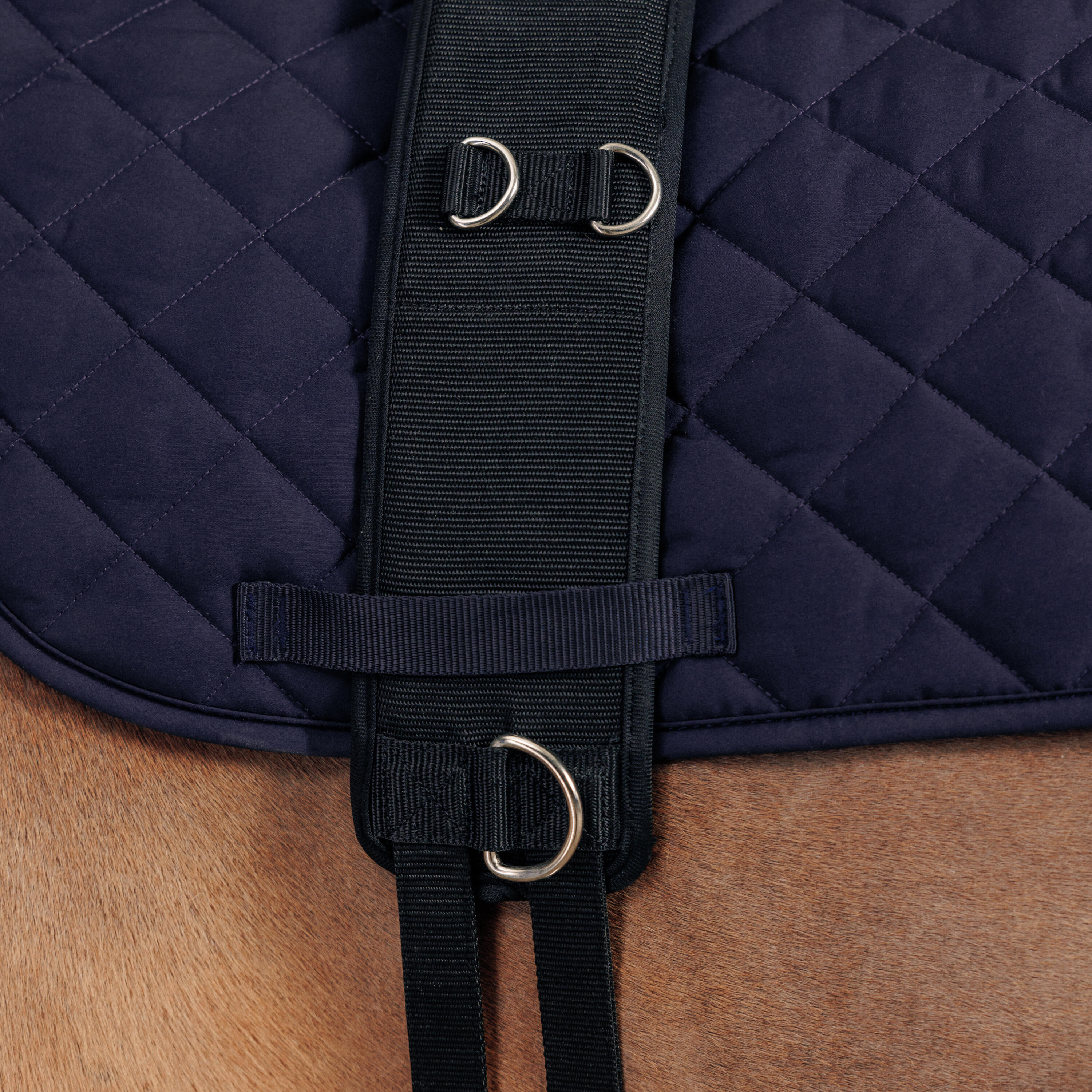 Horse & Pony Riding Lunging Roller - Black - FOUGANZA