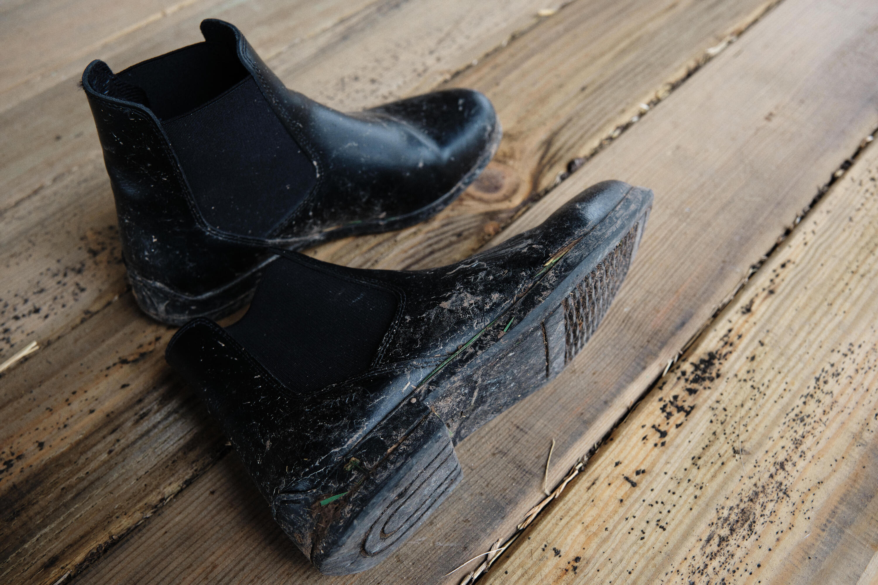 Boots équitation cuir Adulte - 500 noires 5/5