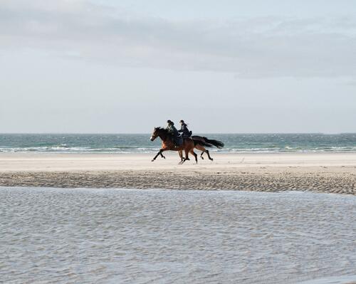 Kobieta i mężczyzna w kaskach jeździeckich galopujący na koniach po plaży