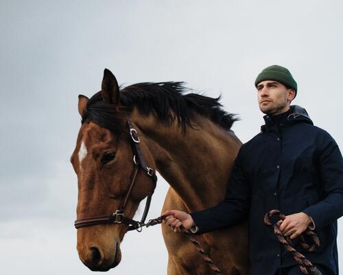 reiten im winter