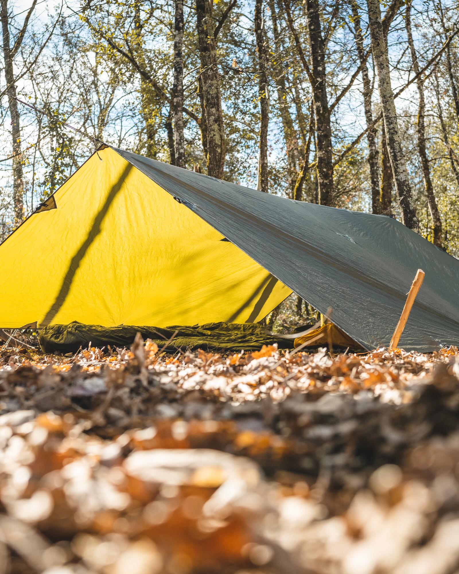 Tarps