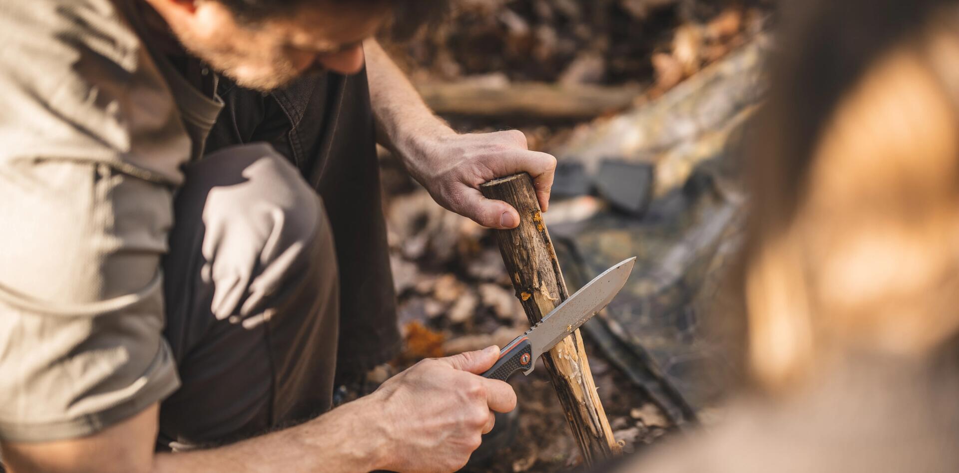 Hérisson sur du bois lors d'un bivouac bushcraft