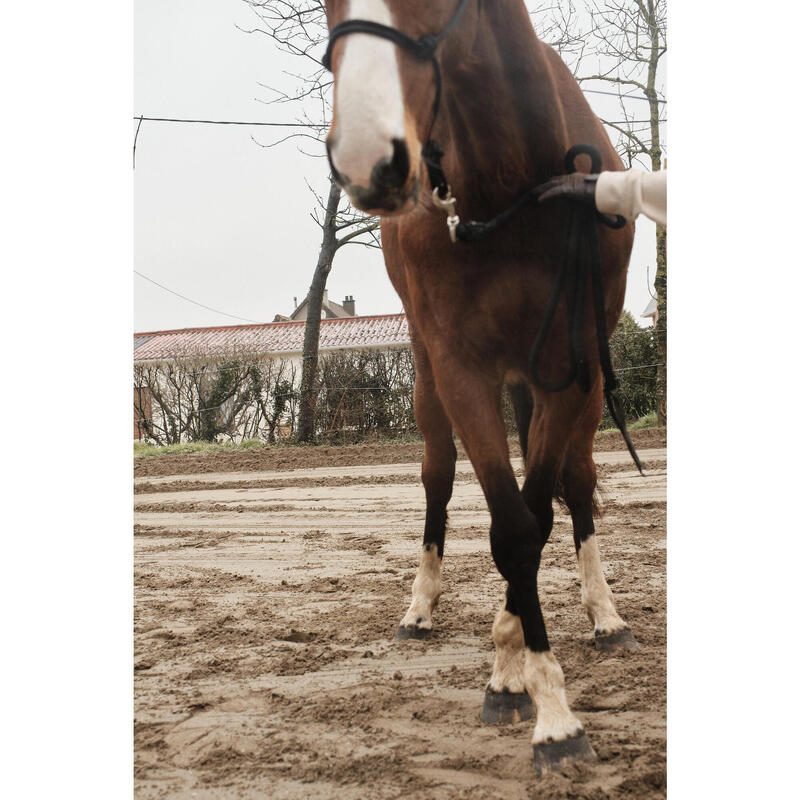 Cabestro + ronzal equitación Fouganza WHISPERER poni y caballo Negro de cuerda