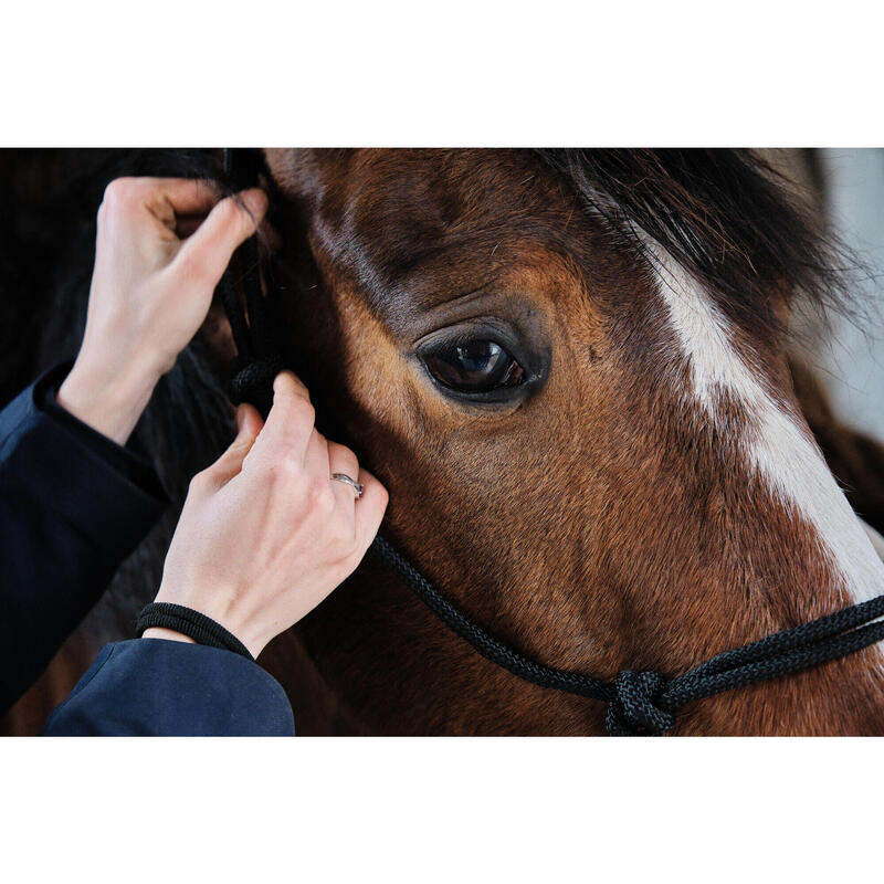 Cabestro + ronzal equitación Fouganza WHISPERER poni y caballo Negro de cuerda