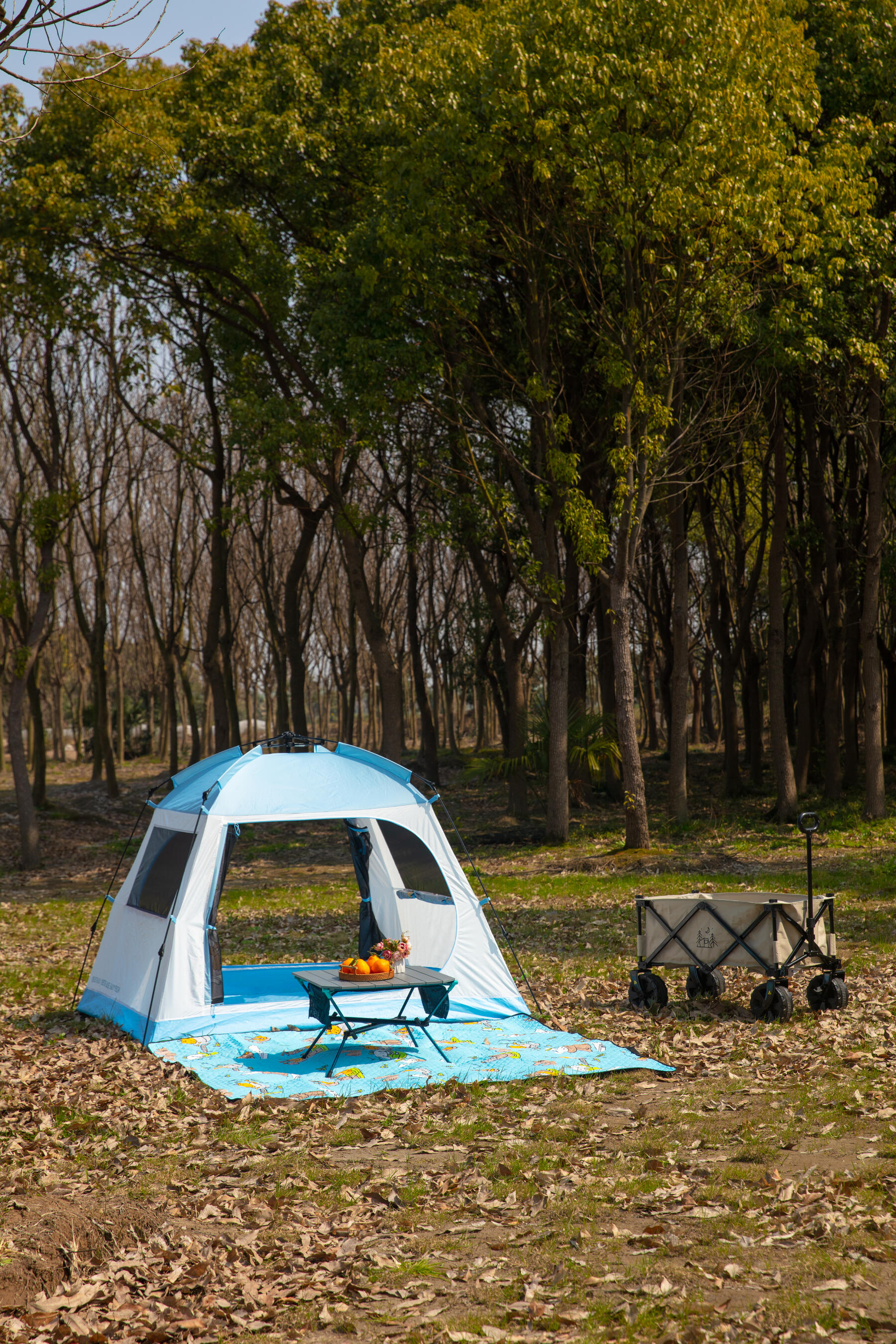 tenda da campeggio