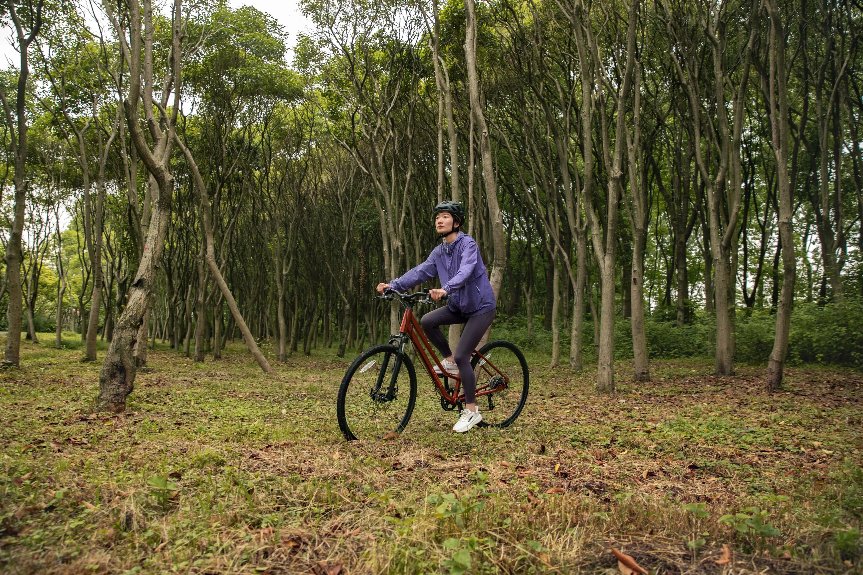 Wycieczki rowerowe Wrocław – trasy rowerowe we Wrocławiu