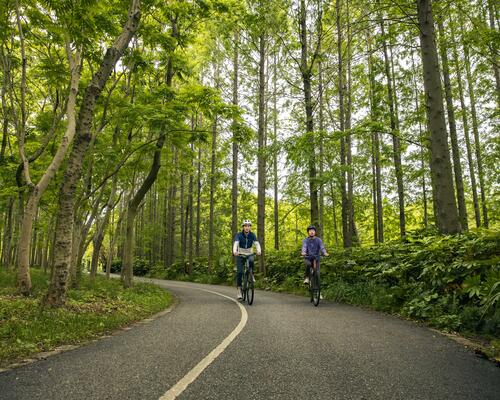 Trasy rowerowe Poznań – gdzie na wycieczkę rowerem?